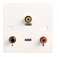 Single Gang AV Faceplate, inc 3 phono connectors (video + LandR audio)