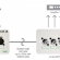 SONET4 - SoNet Cat5 Audio Distribution System - 4in/4out
