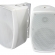 SPK30W - 30W 100V/8ohm Indoor / Outdoor Cabinet Speakers, White (PAIR)