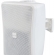 WS50T-WK - 50W 5" 2-way Full Range Music Speaker, 100v line / Low Z - White